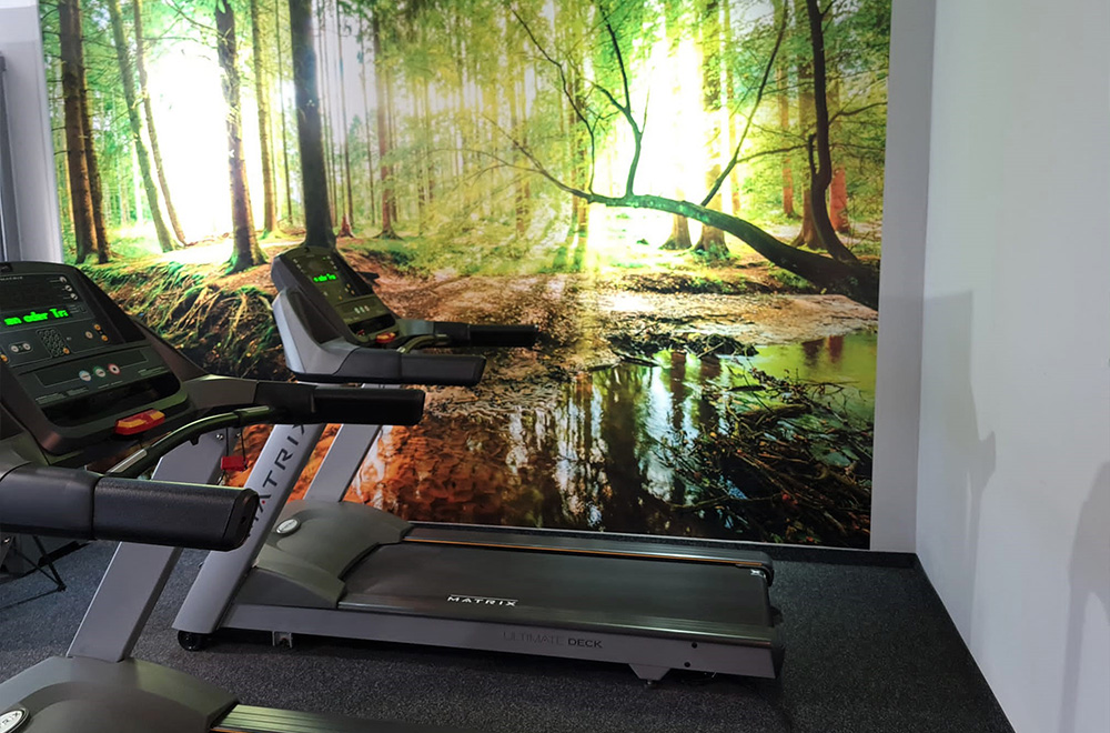 fitplus Gosen Laufband